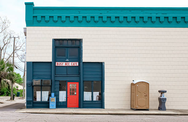 Best Sanitation services for porta potties  in Johnson City, NY